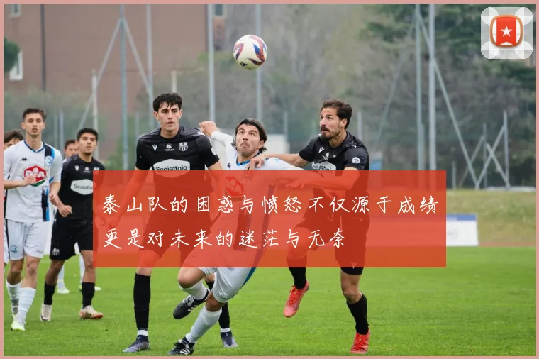泰山队的困惑与愤怒不仅源于成绩更是对未来的迷茫与无奈