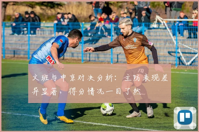 文班与申京对决分析：主防表现差异显著，得分情况一目了然